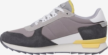 Baskets basses 'Stab' NAPAPIJRI en gris : devant