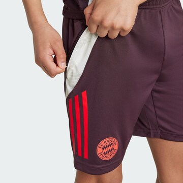 ADIDAS PERFORMANCE Regular Workout Pants 'FC Bayern Tiro 24' in Red