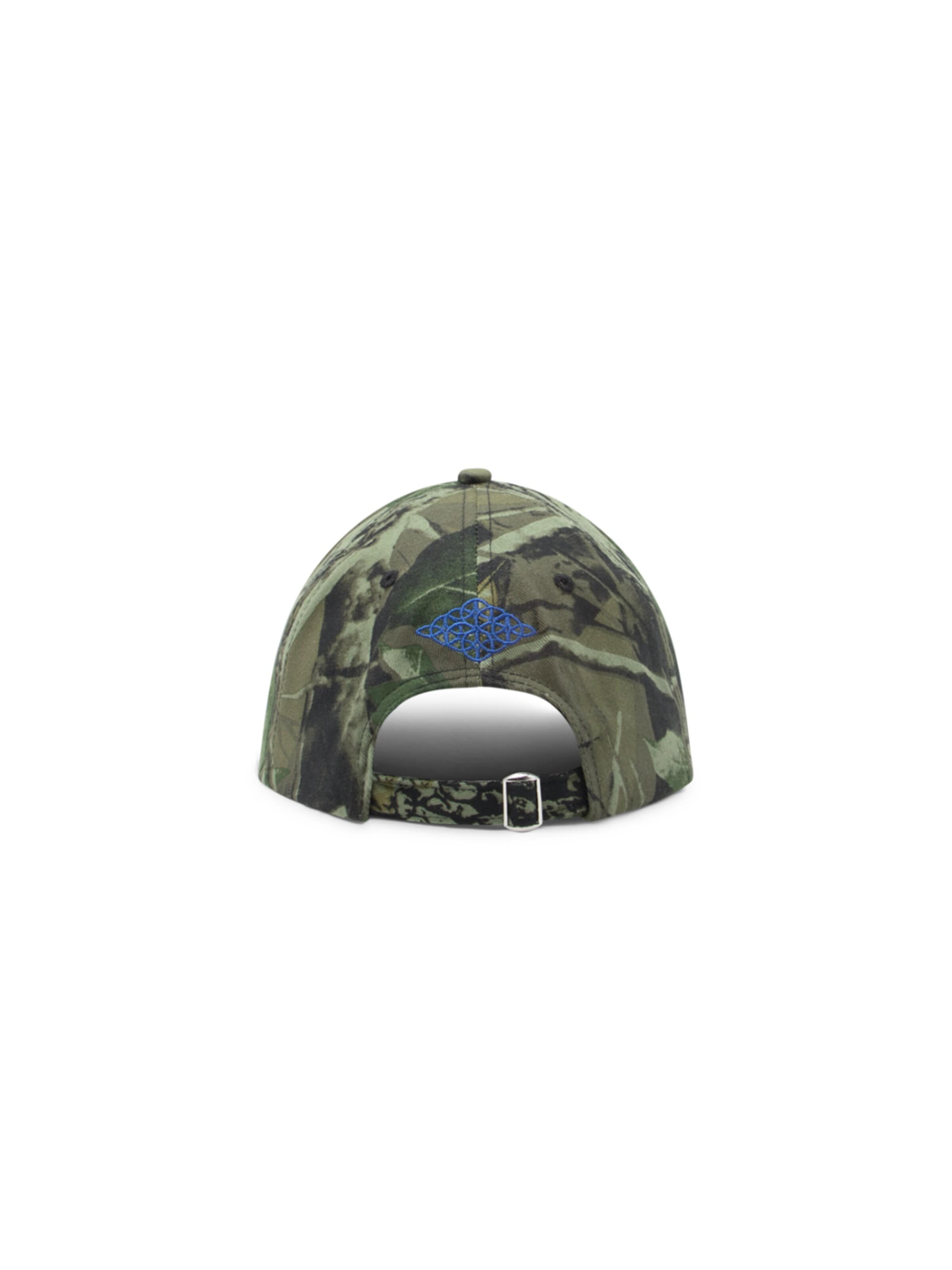 Divention Cap 'Cicada Cap' in Green