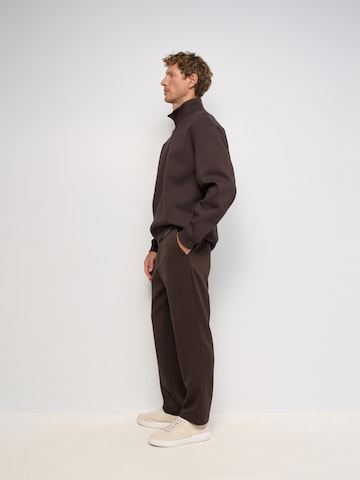 Salsa Jeans Regular Hose in Braun
