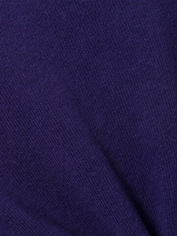 Franco Callegari Sweater in Purple