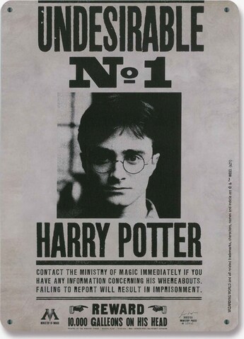 LOGOSHIRT Afbeelding 'Harry Potter - Wanted' in Gemengde kleuren: voorkant