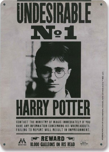 LOGOSHIRT Blechschild 'Harry Potter - Wanted' in mischfarben, Produktansicht