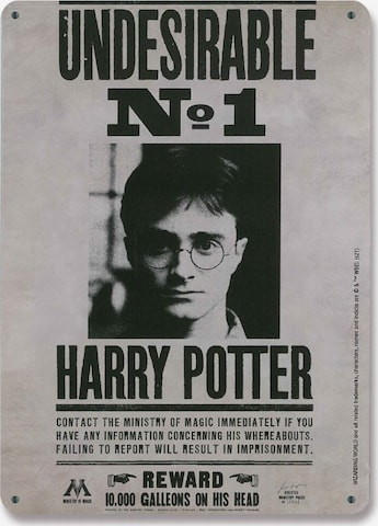 LOGOSHIRT Afbeelding 'Harry Potter - Wanted' in Gemengde kleuren: voorkant