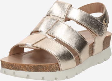 PANAMA JACK Sandaalit 'Sammy' värissä kulta: etupuoli