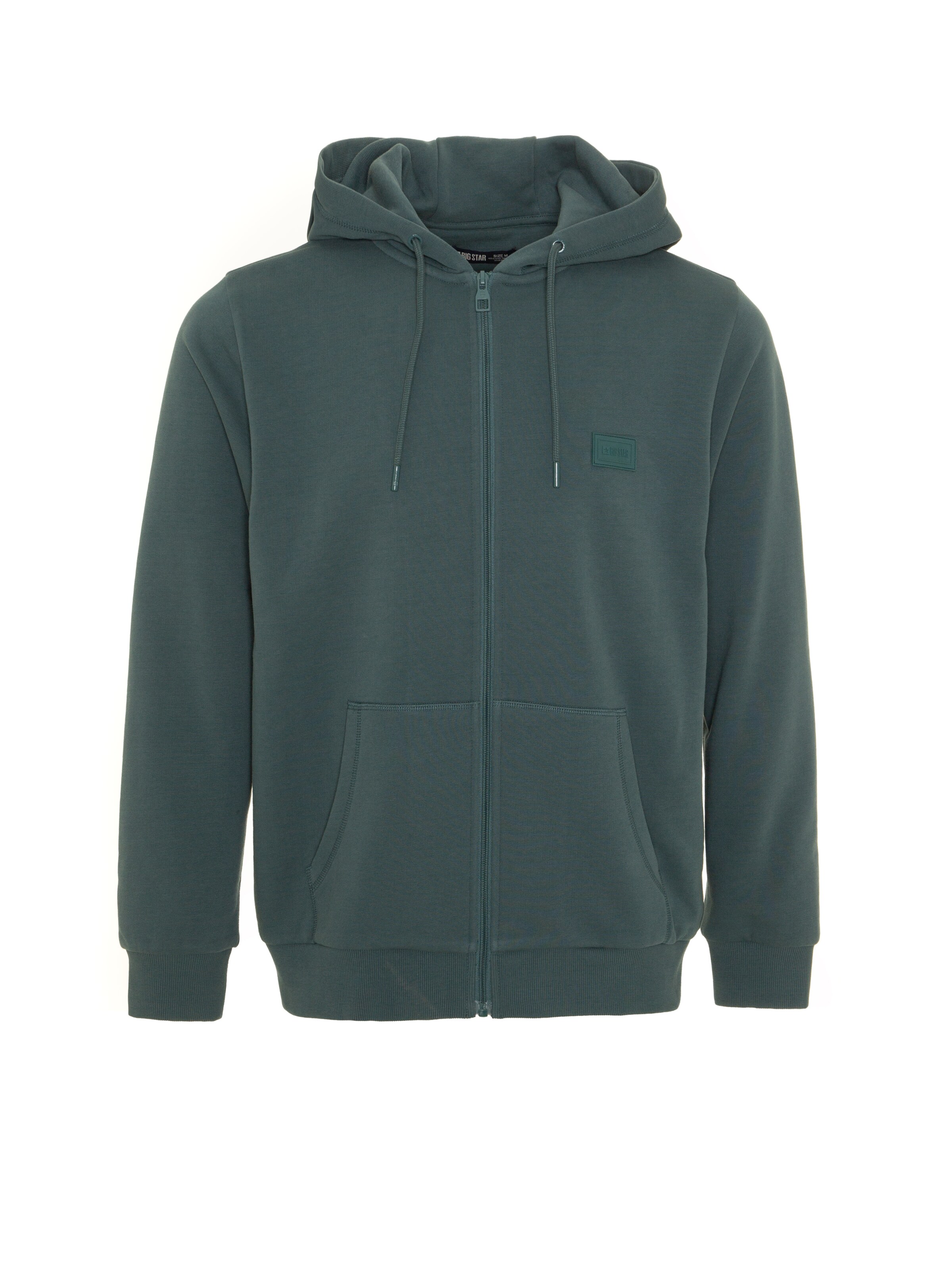 Felpa 'Artish' di BIG STAR in blu: frontale