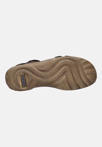 JOSEF SEIBEL Sandal 'Debra 62' in Black