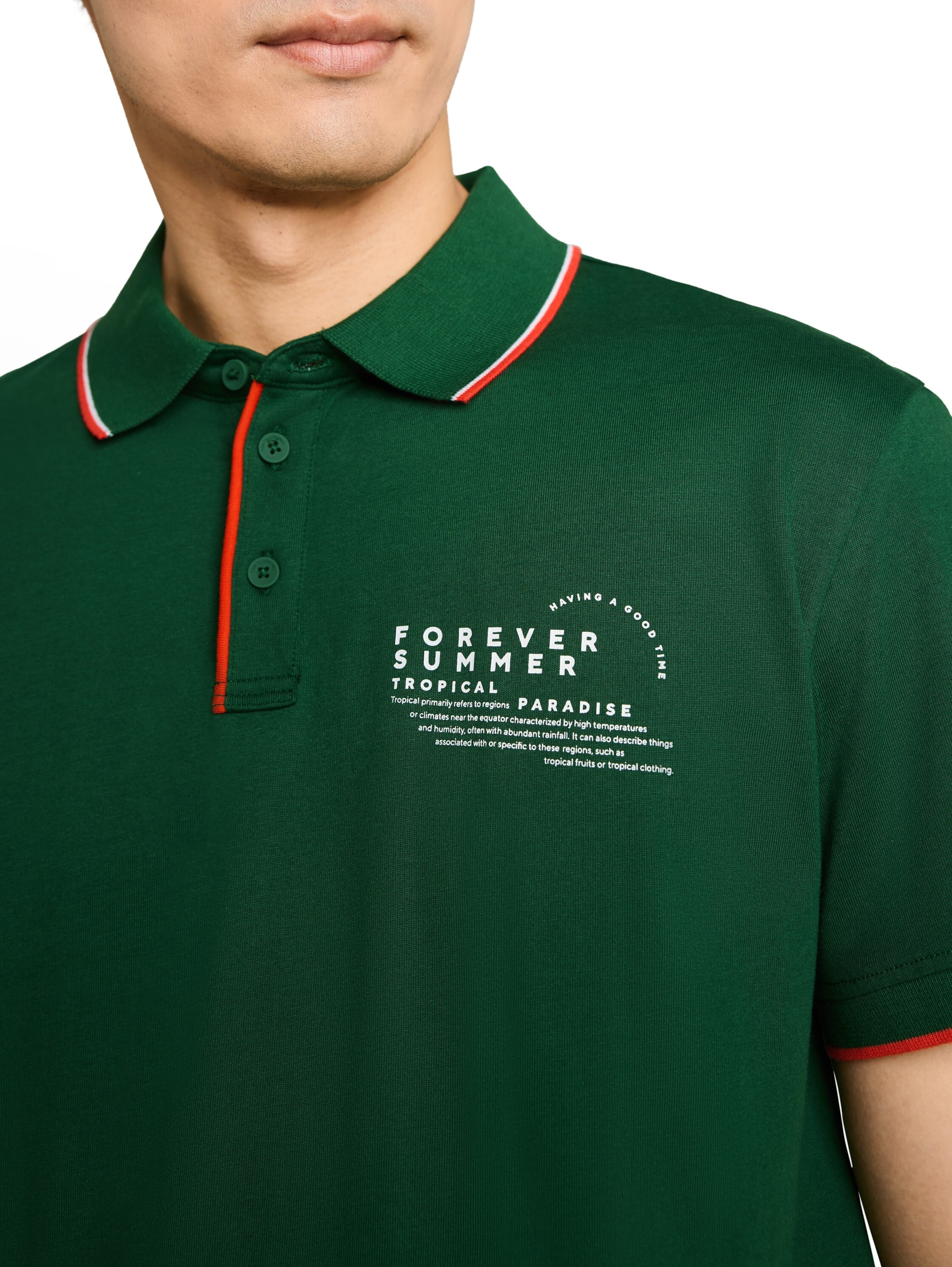 TOM TAILOR Shirt in Green