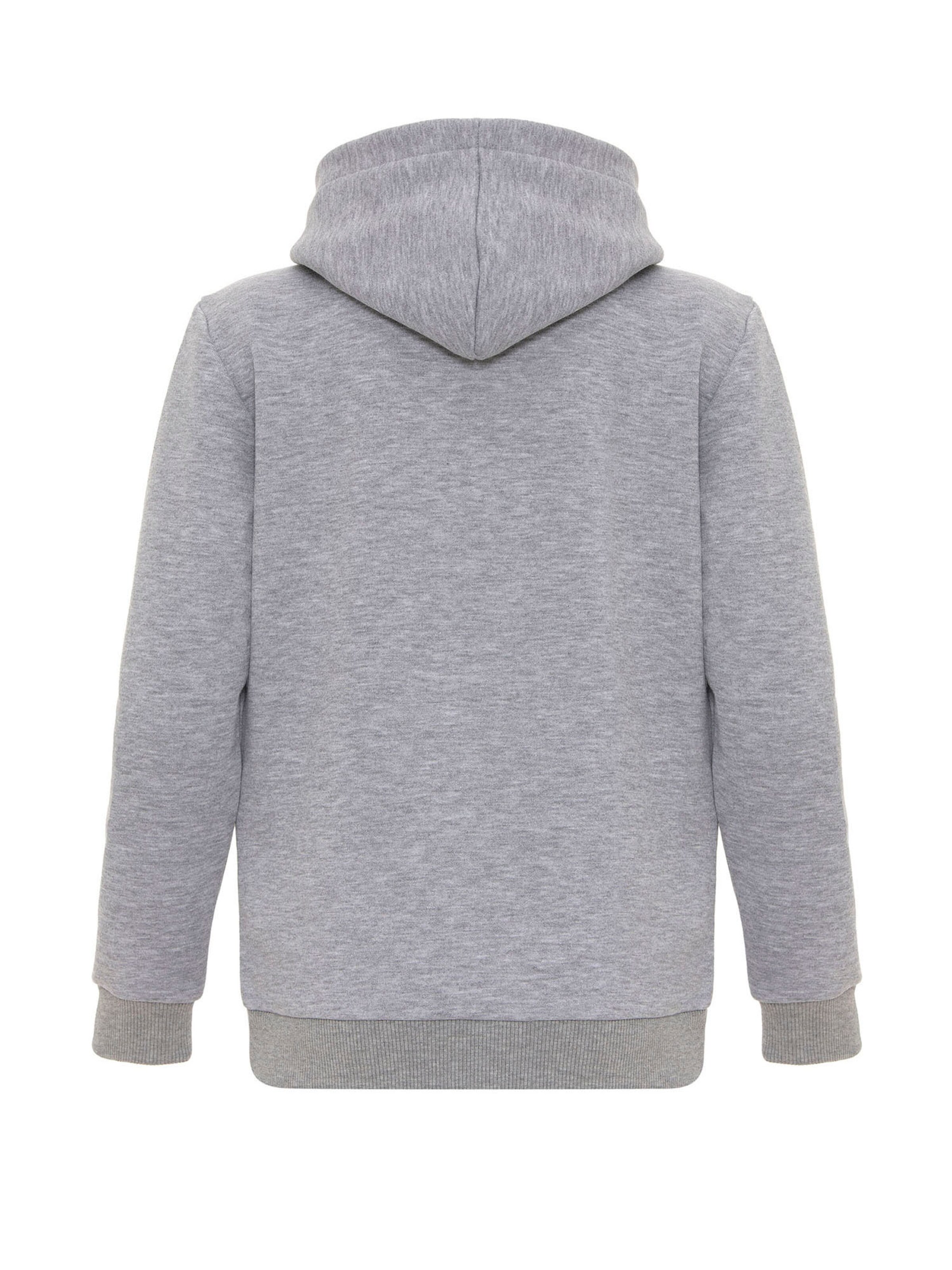 Williot Sweatshirt in Grey