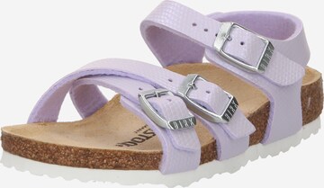 BIRKENSTOCK Σανδάλι 'Kumba' σε λιλά: μπροστά