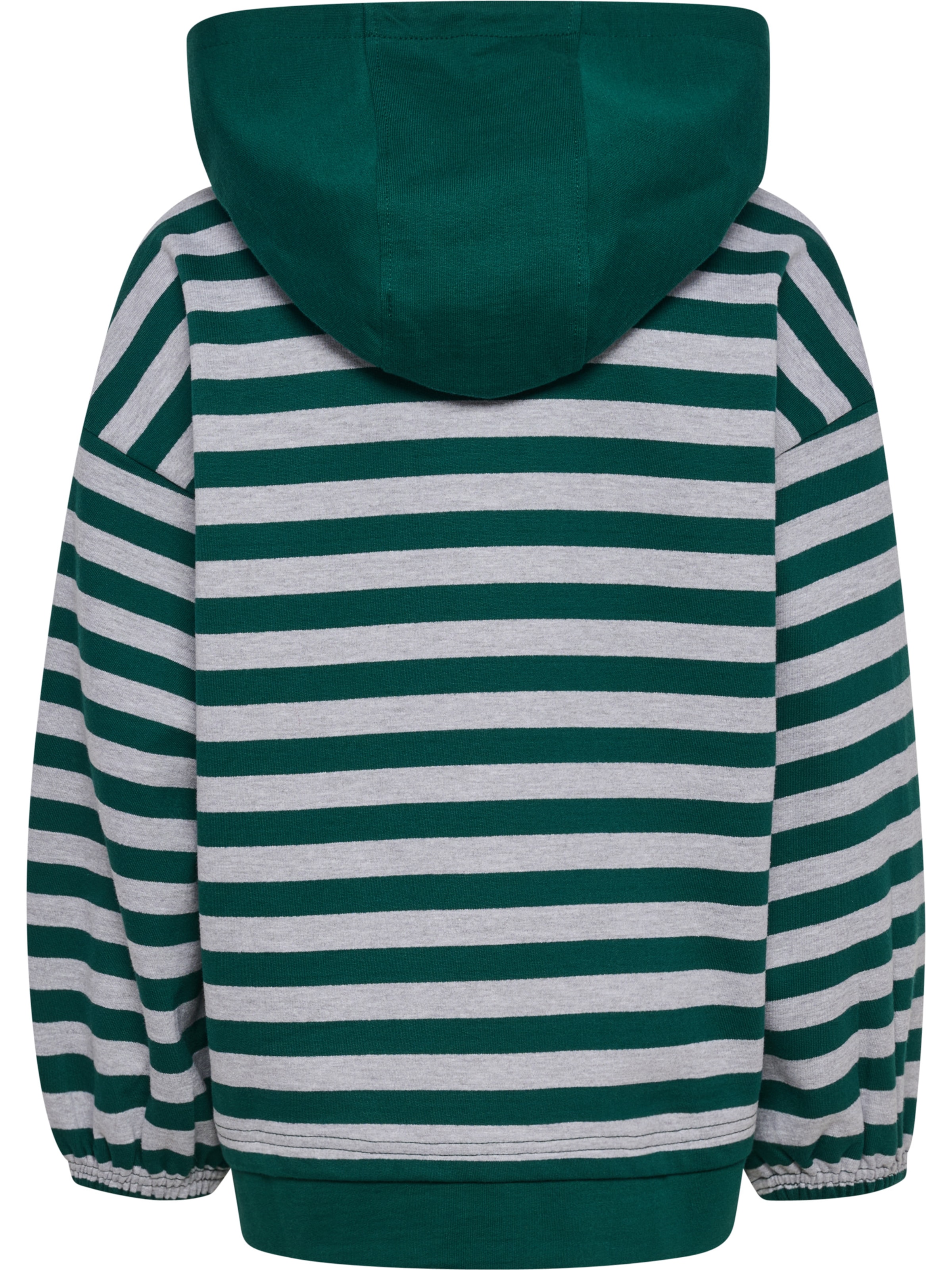 Hummel Sweatshirt 'Conelly' in Groen