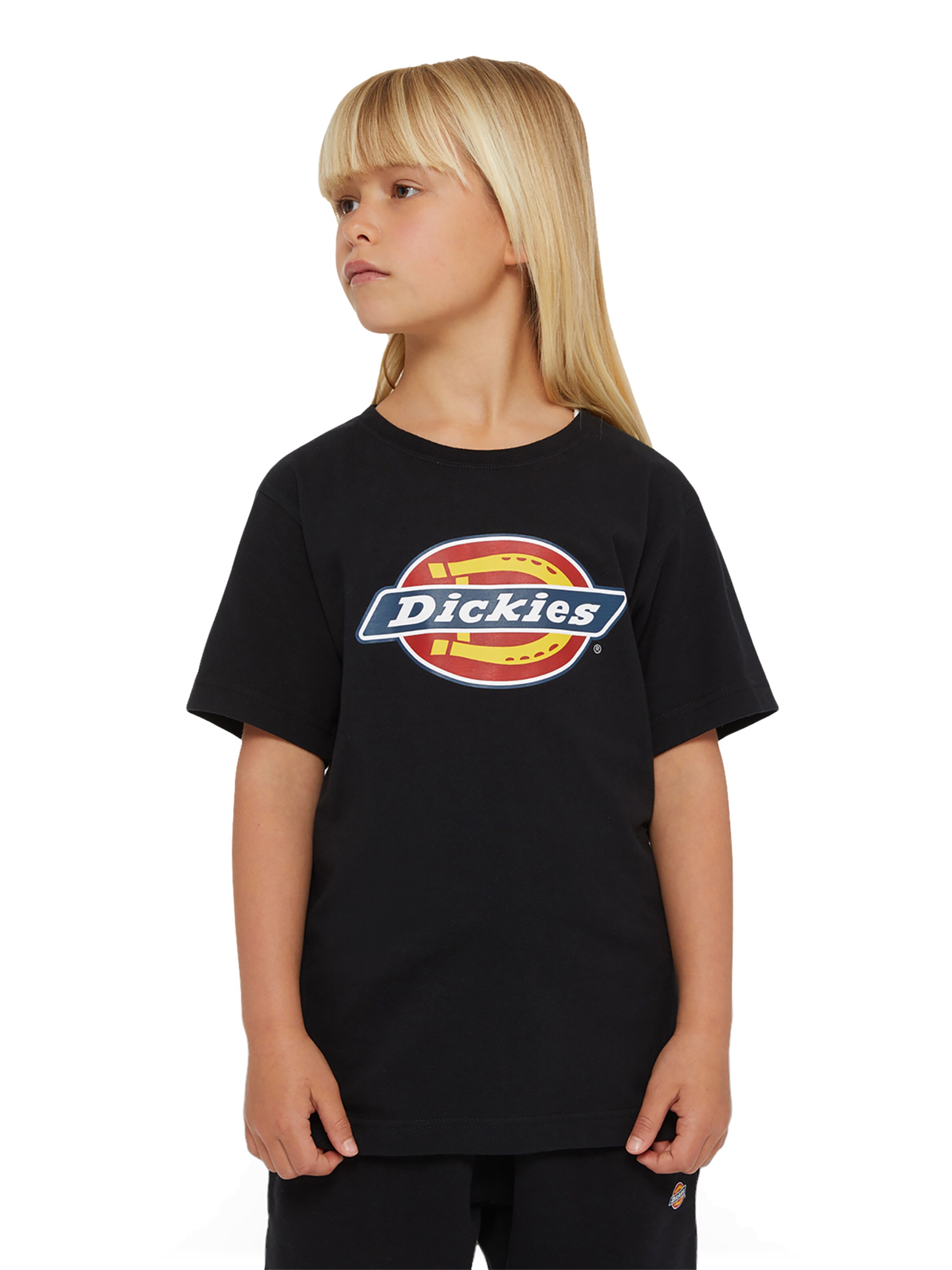 DICKIES Shirt in Black: front