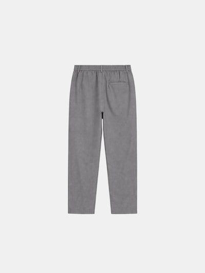 Richesse Chino in 30 in de kleur Grijs, Productweergave