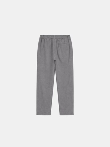Richesse Regular Chino trousers in Grey: front