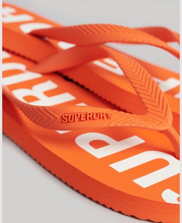 Superdry Strand-/badschoen 'Code Core' in Oranje
