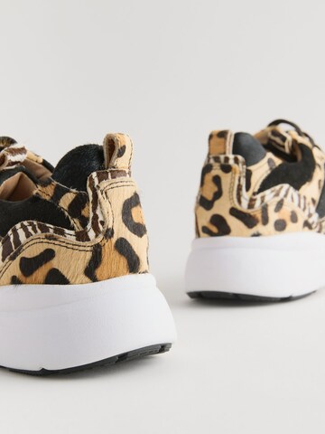 Sneaker bassa di Next in marrone