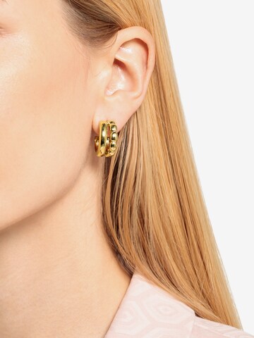 JOOP! Earrings in Gold: front