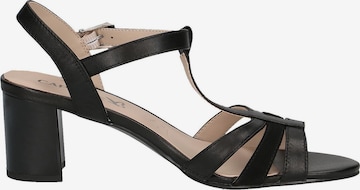 CAPRICE Strap Sandals in Black