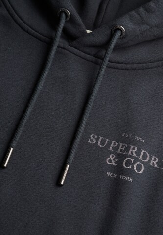 Superdry & Co Sweatshirt in Blauw