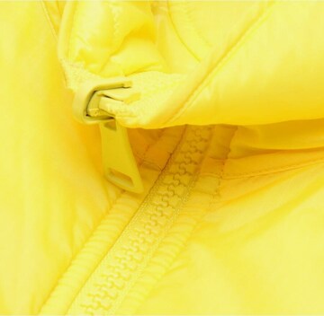 Schumacher Jacket & Coat in S in Yellow