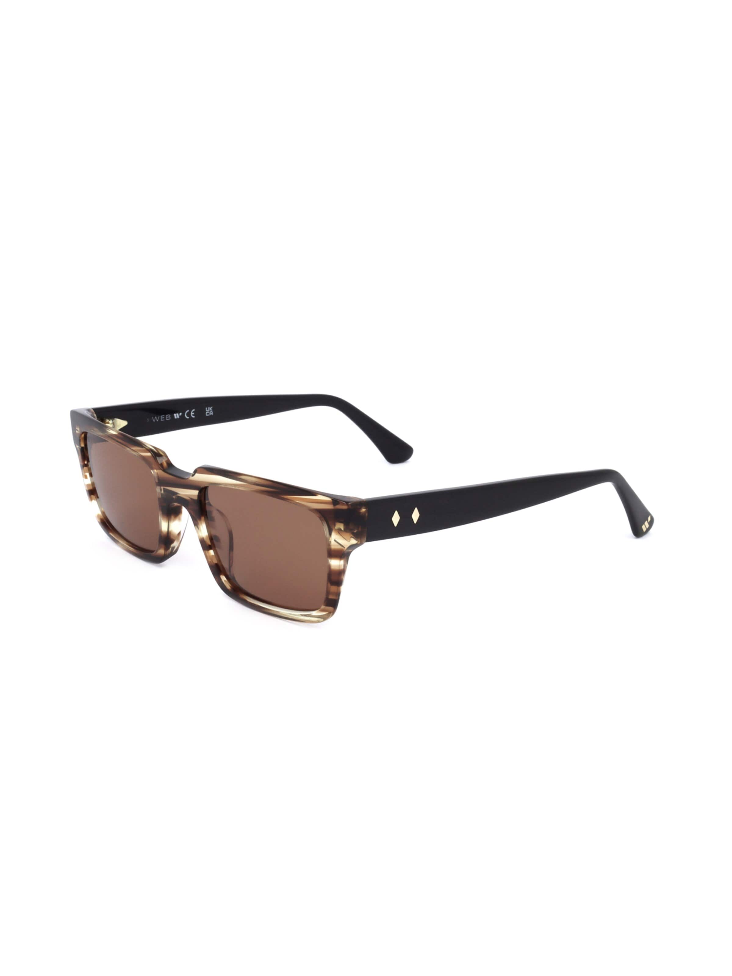 Occhiali da sole 'WE0360' di Web Eyewear in marrone: frontale