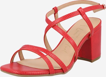 Sandalo con cinturino 'TACHO' di NEW LOOK in rosso: frontale