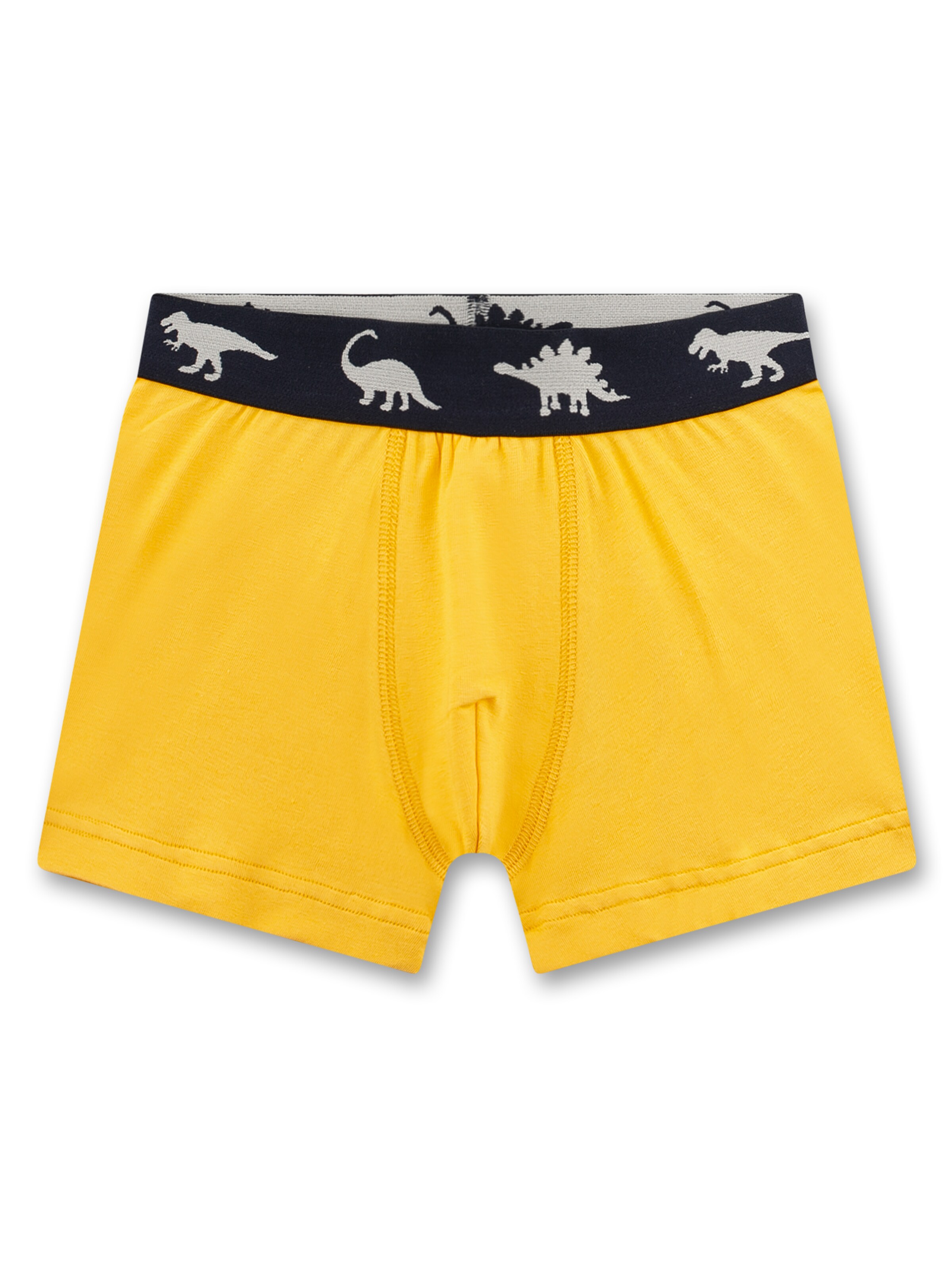 Sanetta Underpants in Blue