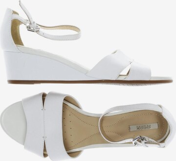GEOX Sandals & High-Heeled Sandals in 38 in White: front