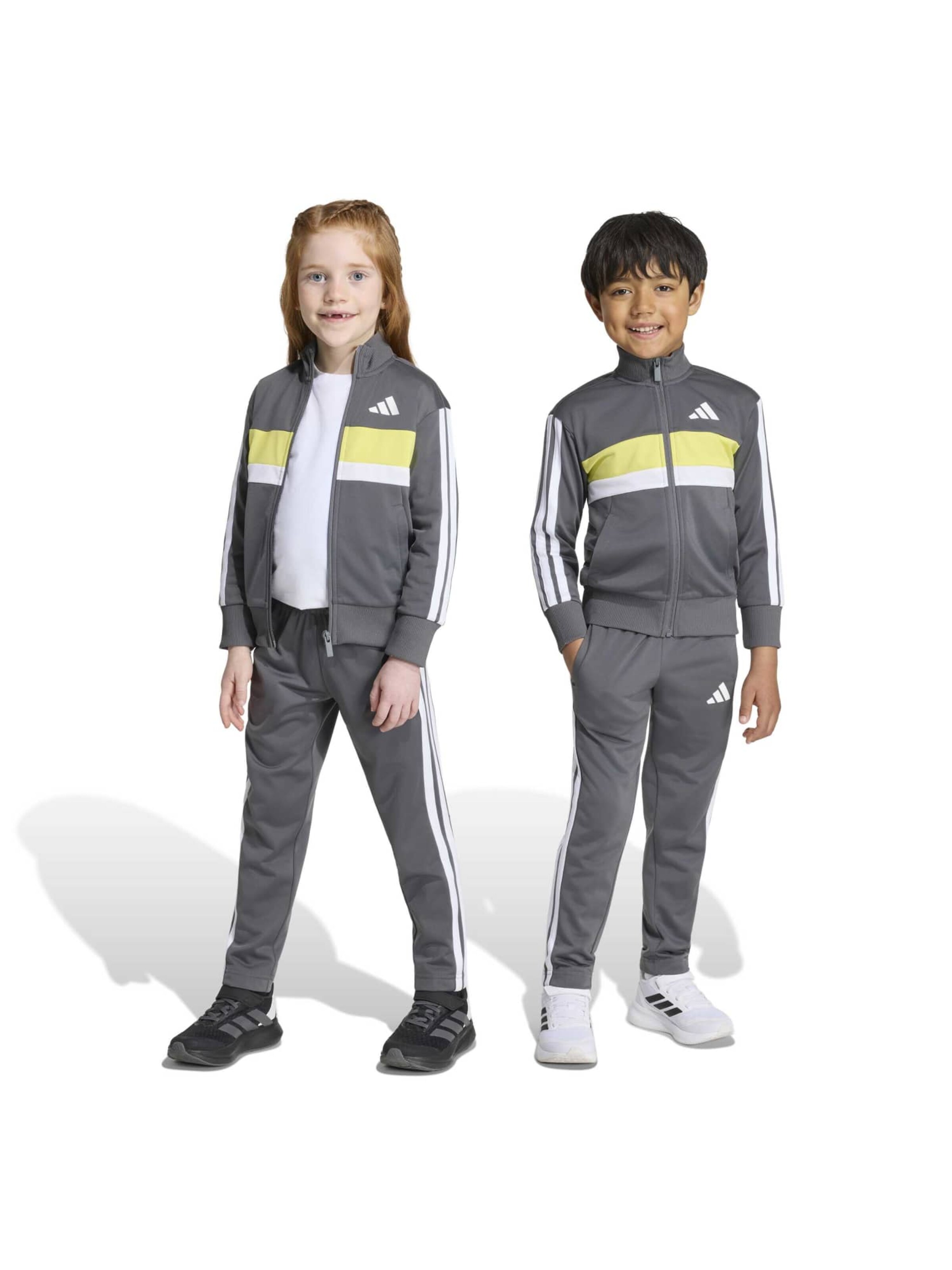 ADIDAS SPORTSWEAR Тренировочный костюм 'Seasonal Essentials Tiberio' в Серый: спереди