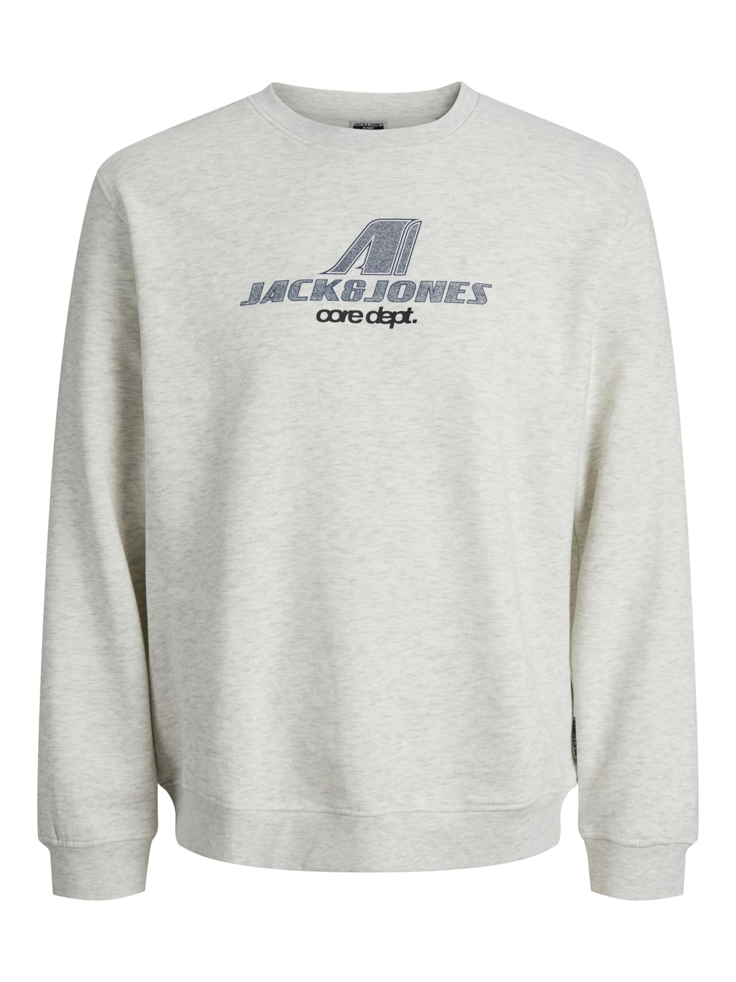Jack & Jones Junior Sweatshirt 'Tier' in Grey: front