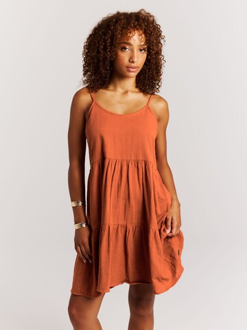 Robe 'PRTMendes' PROTEST en marron