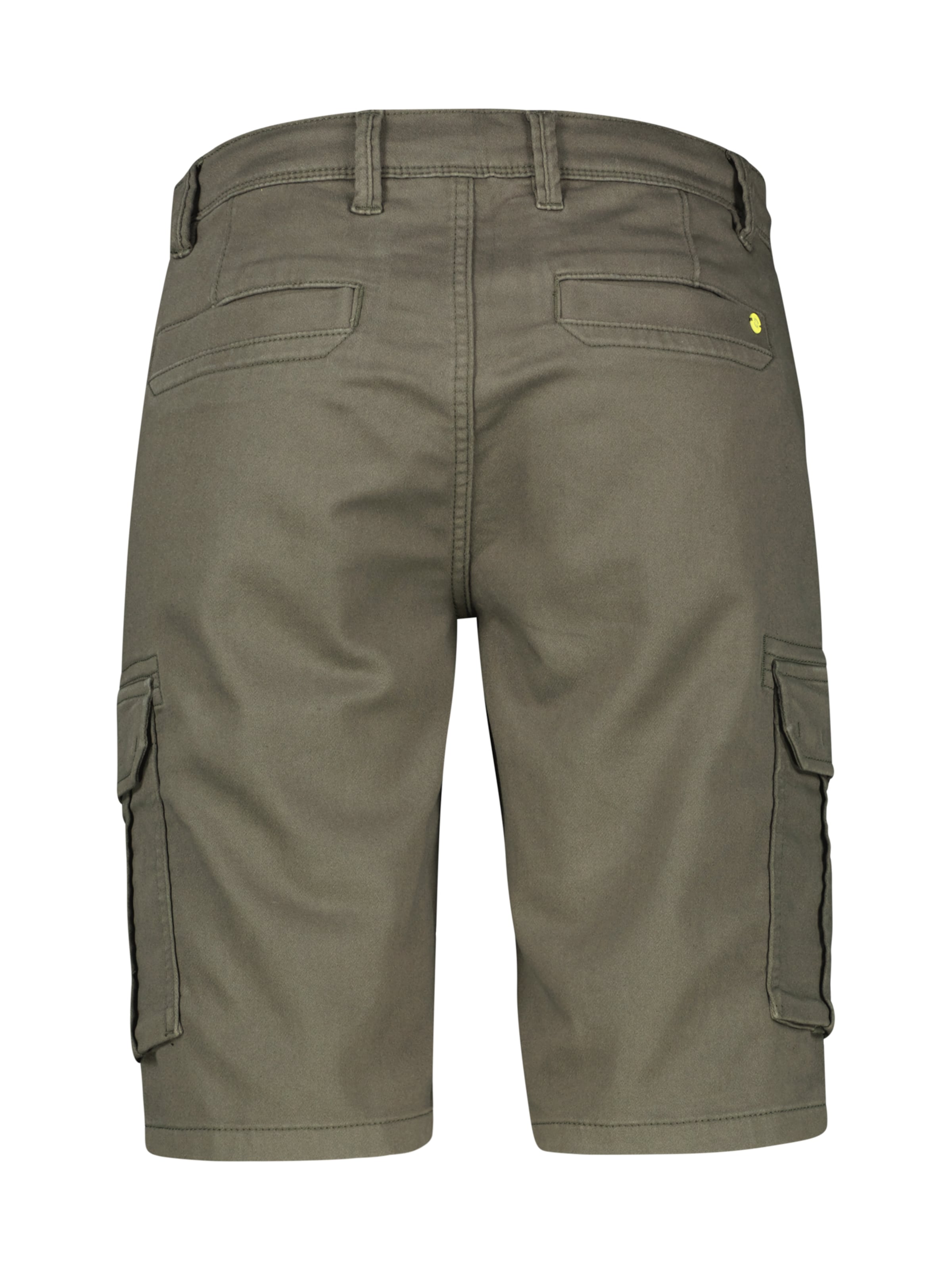 LERROS Regular Cargo trousers in Green
