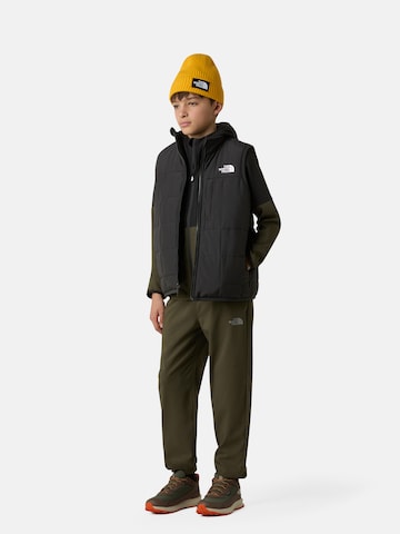 brūns THE NORTH FACE Kurpes 'Fastpack Hiker'