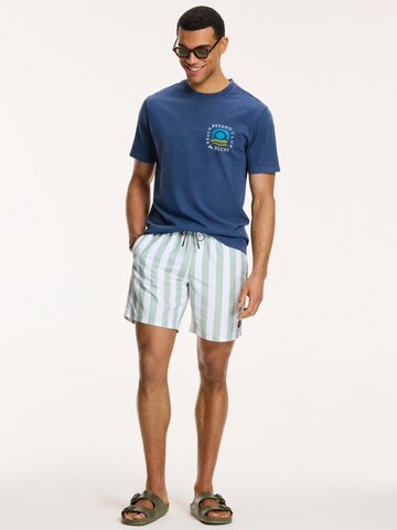 Shiwi Swimming shorts in Green