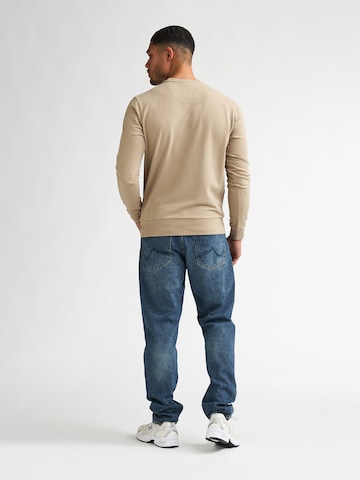 Petrol Industries Sweatshirt 'Seaviewpark' i brun