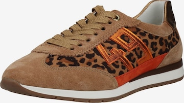 ARA Sneakers in Brown: front