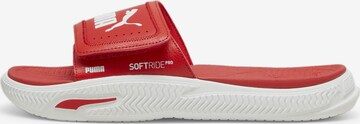 PUMA Beach & Pool Shoes 'SoftridePro' in Red