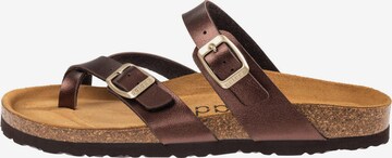 Mule 'Cres Metallic' Palado en marron : devant