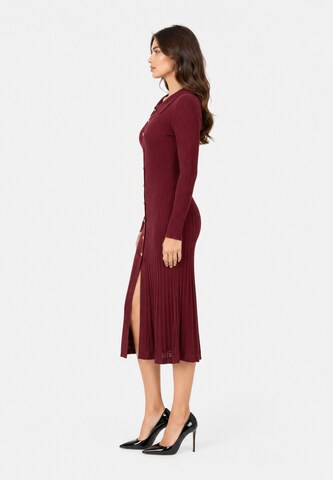 Elara Knit dress in Red