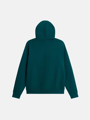THE NORTH FACE Bluzka sportowa 'THE NORTH FACE M ESS DP REG HODDIE FELPA' w kolorze zielony
