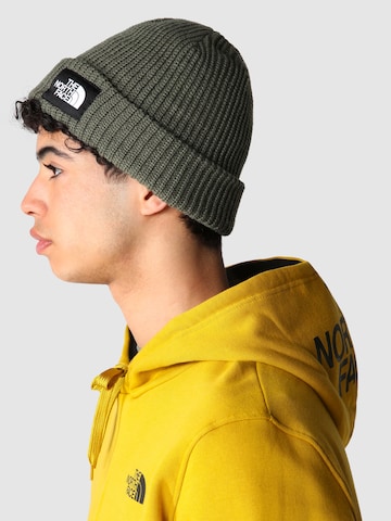 THE NORTH FACE Muts 'SALTY DOG' in Groen