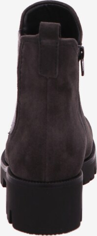 GABOR Chelsea Boots 'Davos' in Grey