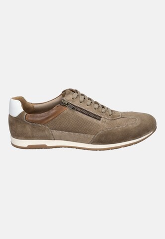 JOSEF SEIBEL Athletic lace-up shoe 'Colby 03' in Beige