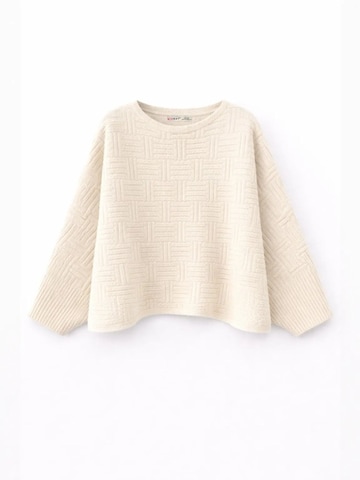 MixRay Pullover 'Pullover'‌‌‌ in Rot: Vorderseite