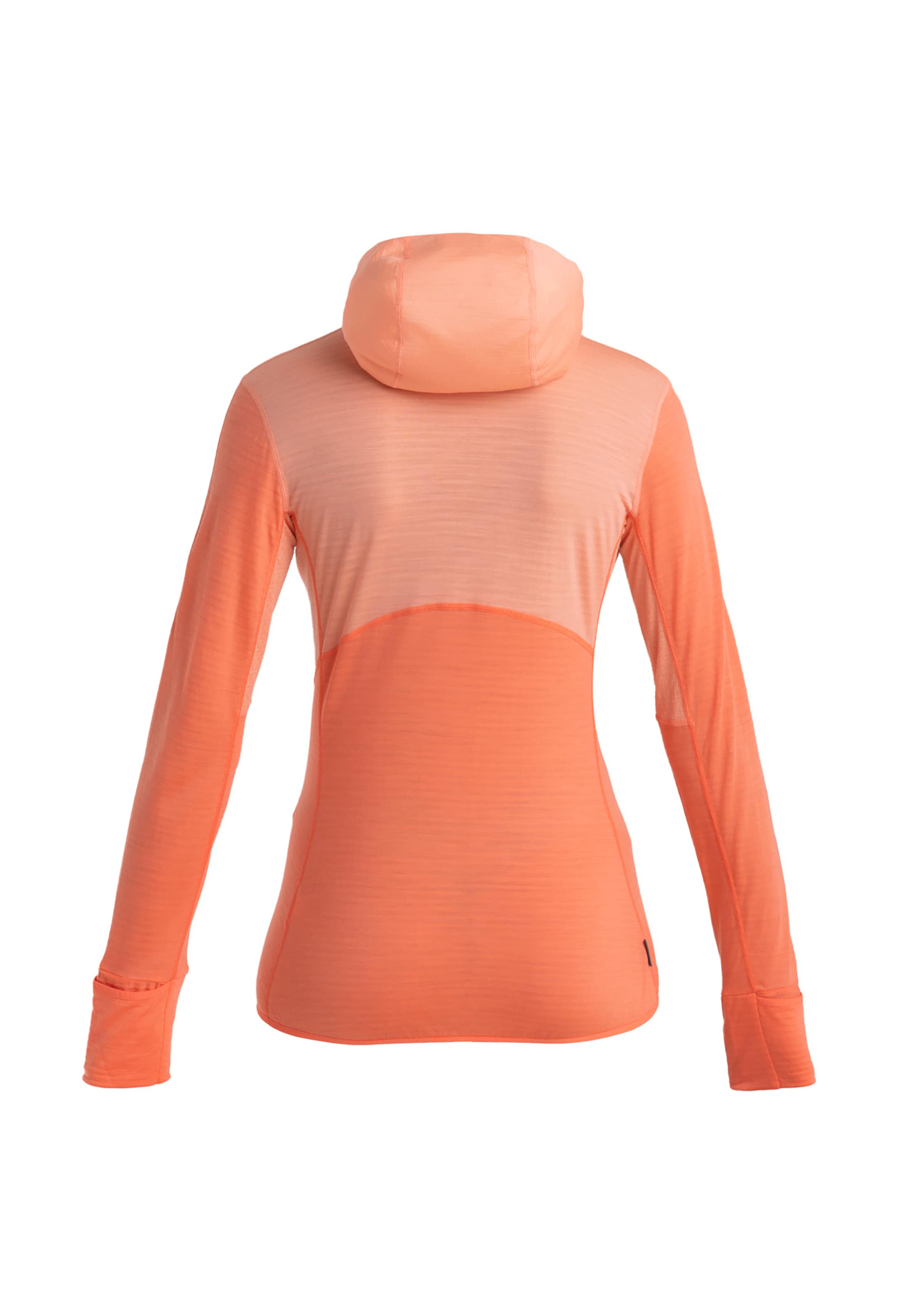 ICEBREAKER Funktionsfleecejacke 'Realfleece Descender' in Orange