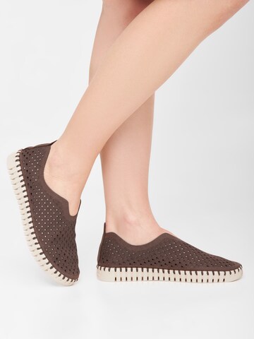 ILSE JACOBSEN Slip-on 'Tulip3275' in Bruin: voorkant