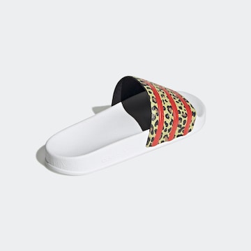 ADIDAS ORIGINALS Pantofle 'Adilette' – mix barev