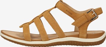 GEOX Sandals in Brown