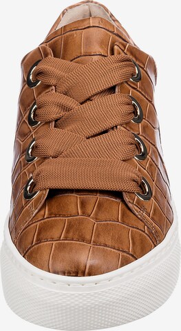 GABOR Sneaker 'Comfort Florenz 66.464' in Braun