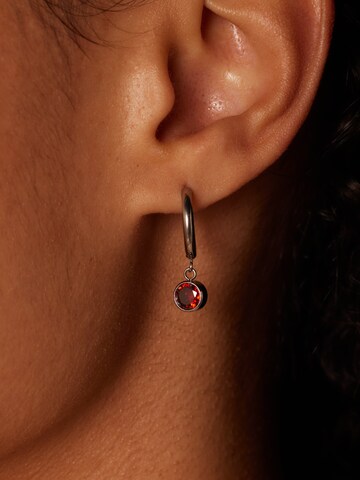 Lucardi Earrings in Silver: front